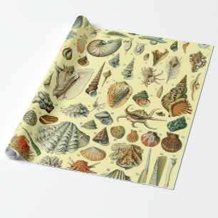 Vintage Seashell Print Adolphe Millot Coastal Wrapping Paper