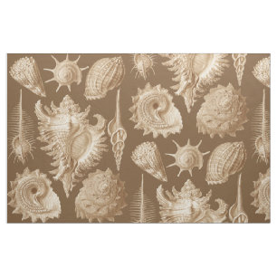 Vintage Seashells Antique Fabric
