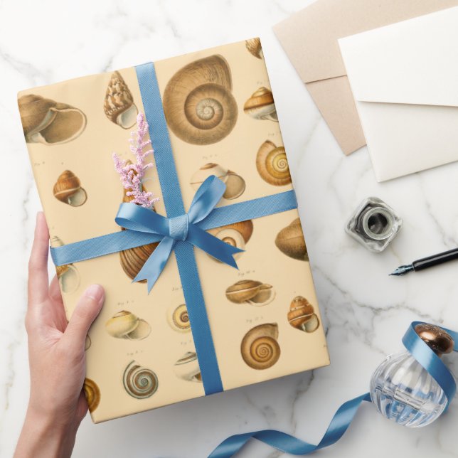 Vintage Seashells Assortment  Wrapping Paper (Gifting)