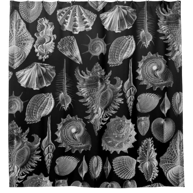 Vintage Seashells Black (Front)