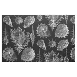 Vintage Seashells Black Fabric