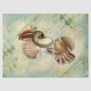 Vintage Seashells Decoupage Tissue Paper