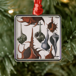 Vintage Seashells, Marine Life, Ocean Sea Shells Metal Ornament