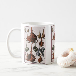 Vintage Seashells, Ocean Sea Shells Marine Life Coffee Mug