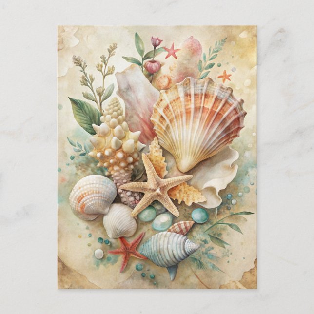 Vintage Seashells Starfish Ocean Beach Coastal  Postcard (Front)