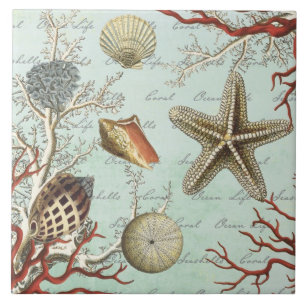 Vintage Seashells...tile Tile