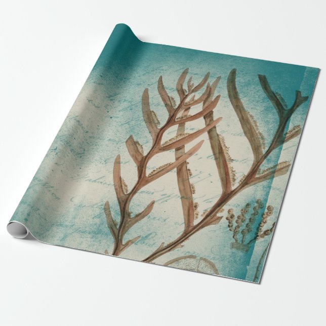 Vintage Seaweed on Teal Wrapping Paper (Unrolled)