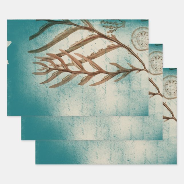 Vintage Seaweed on Teal Wrapping Paper Sheet (Set)