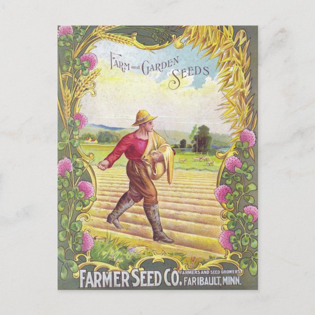 Vintage Seed Ad Postcard (Front)