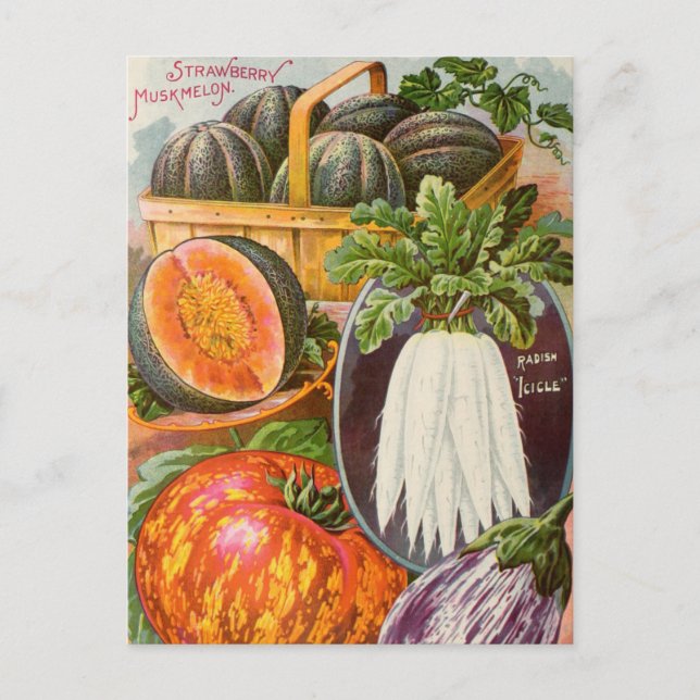 Vintage Seed Ad Postcard (Front)