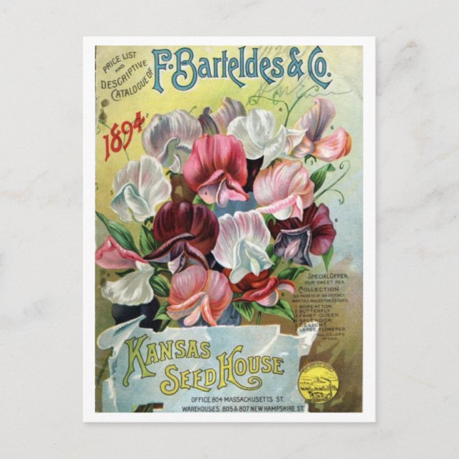 Vintage Seed Ad Postcard (Front)