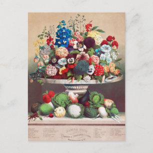 Vintage Seed Ad Postcard