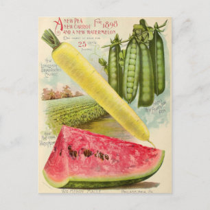 Vintage Seed Ad Postcard