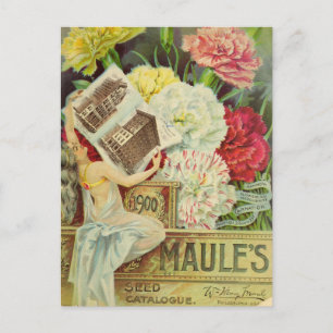 Vintage Seed Ad Postcard