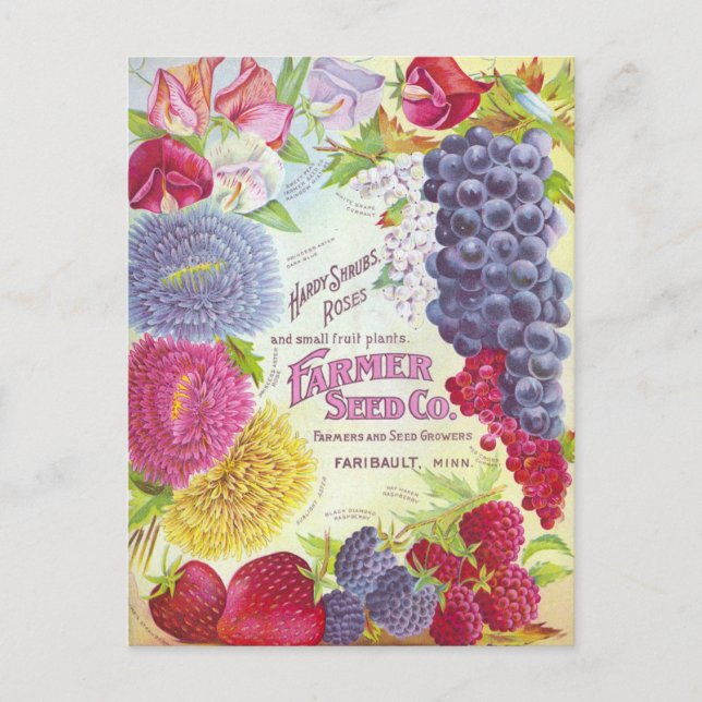 Vintage Seed Ad Postcard (Front)