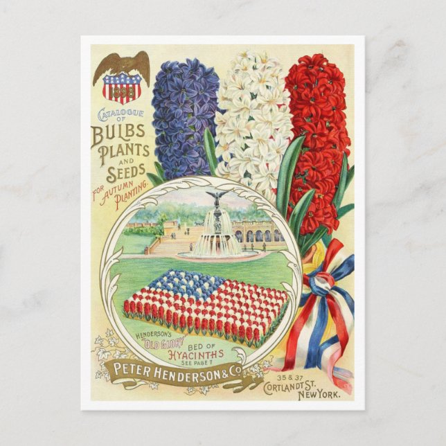 Vintage Seed Ad Postcard (Front)