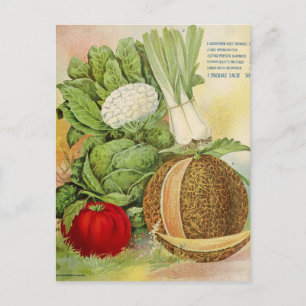 Vintage Seed Ad Postcard