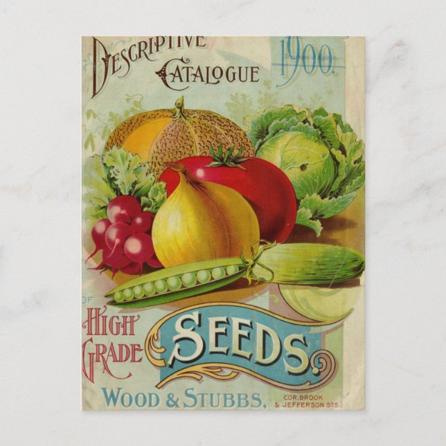 Vintage Seed Ad Postcard (Front)