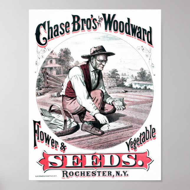 Vintage Seed Advertisement Poster (Front)