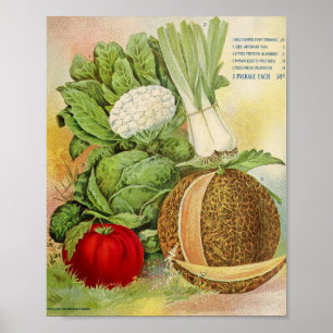 Vintage Seed Advertisement Poster