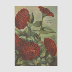 Vintage Seed Catalog, Emma White, Red Zinnias Tissue Paper