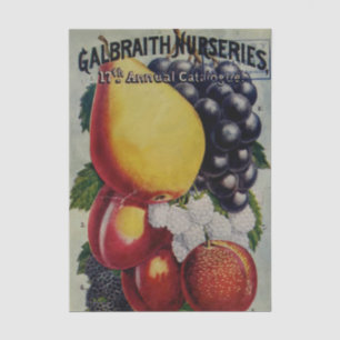 Vintage Seed Catalog, Galbraith Nurseries Tissue Paper