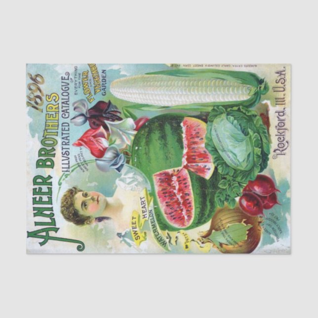 Vintage Seed Catalogue Alneer Brothers 1896 Tissue Paper (Front)