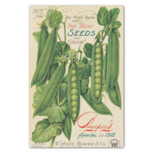 Vintage Seed Catalogue Burpee's 1912 Peas Tissue Paper