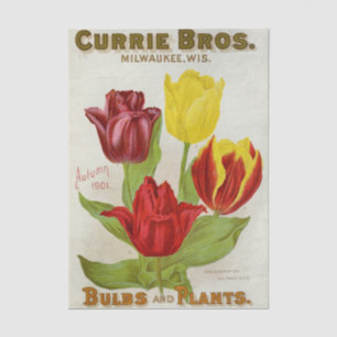 Vintage Seed Catalogue Currie Bros, Autumn 1901 Tissue Paper