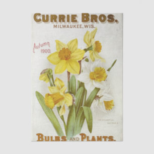 Vintage Seed Catalogue Curries Bros, Autumn 1900 Tissue Paper