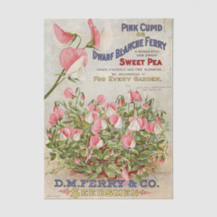 Vintage Seed Catalogue D.M. Ferry and Company Tissue Paper