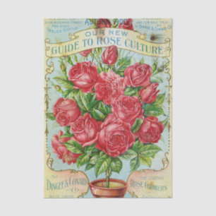 Vintage Seed Catalogue Dingee & Conard Rose Cultur Tissue Paper