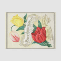Vintage Seed Catalogue Henderson Autumn Bulbs 1898
