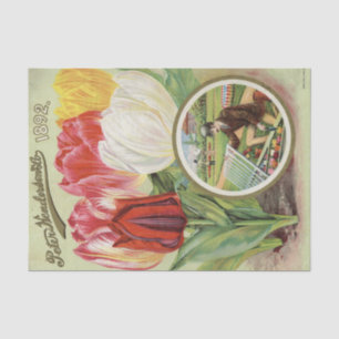 Vintage Seed Catalogue Henderson's 1892 Tulips Tissue Paper