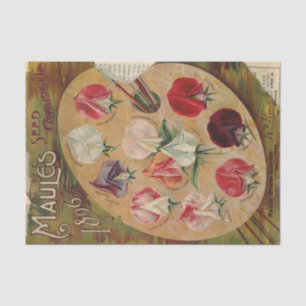 Vintage Seed Catalogue Maules 1896 Sweet Peas Tissue Paper