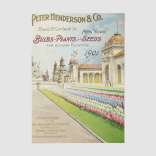 Vintage Seed Catalogue Peter Henderson 1901 Flower Tissue Paper