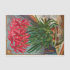 Vintage Seed Catalogue The Scarlet Mexican Lily