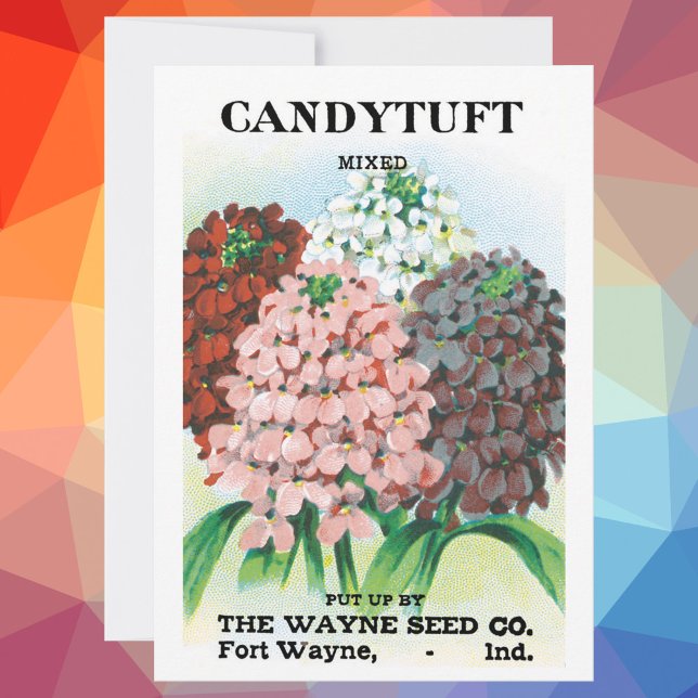 Vintage Seed Packet Art, Candytuft Garden Flowers (Creator Uploaded)