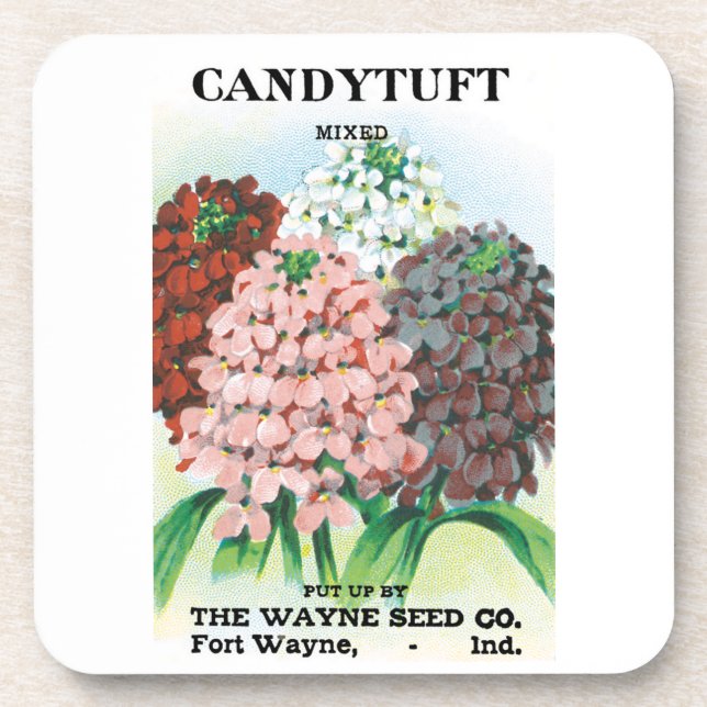 Vintage Seed Packet Art, Candytuft Garden Flowers Coaster (Front)