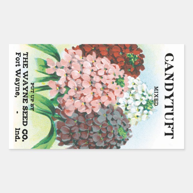 Vintage Seed Packet Art, Candytuft Garden Flowers Sticker (Front)