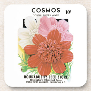 Vintage Seed Packet Art, Cosmos Garden Flowers Coaster