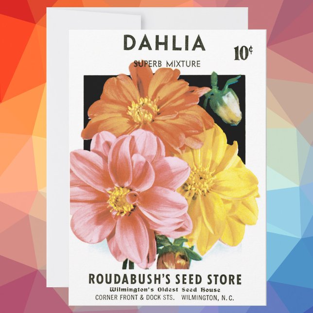 Vintage Seed Packet Art, Dahlia Garden Flowers (Creator Uploaded)