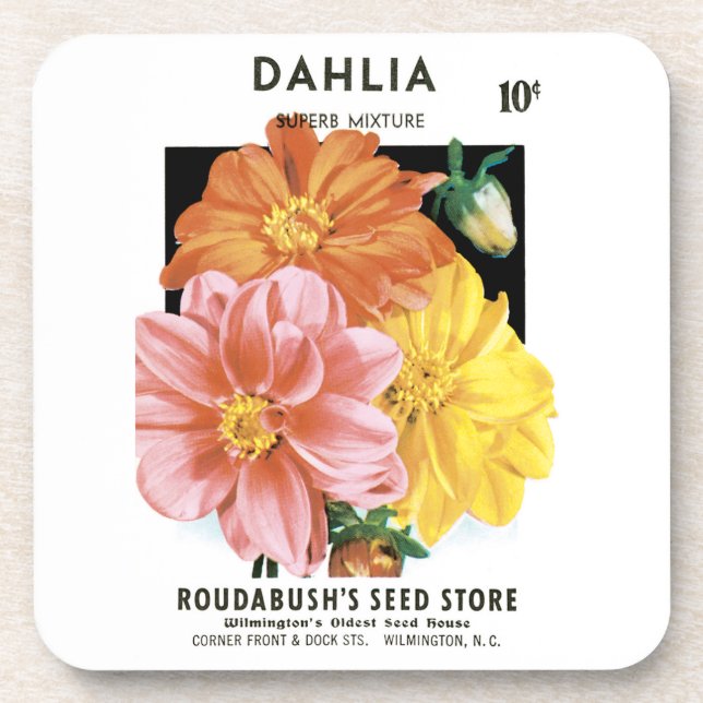 Vintage Seed Packet Art, Dahlia Garden Flowers Coaster (Front)