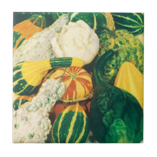 Vintage Seed Packet Art, Mixed Gourds Squash Tile
