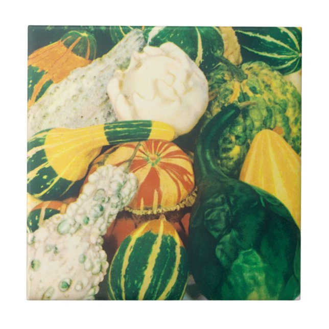 Vintage Seed Packet Art, Mixed Gourds Squash Tile (Front)