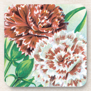 Vintage Seed Packet Art, Pinks Carnation Flowers Coaster