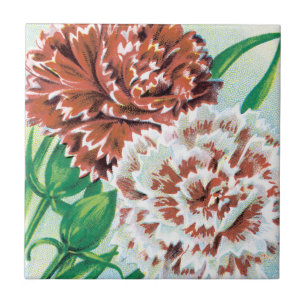 Vintage Seed Packet Art, Pinks Carnation Flowers Tile