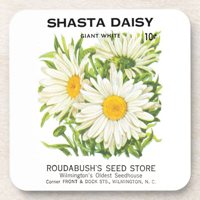 Vintage Seed Packet Art, Shasta Daisy Flowers Coaster (Front)