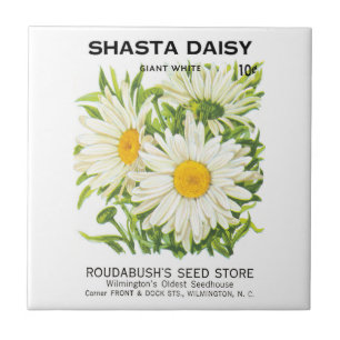 Vintage Seed Packet Art, Shasta Daisy Flowers Tile