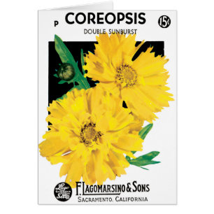 Vintage Seed Packet Art, Yellow Coreopsis Flowers
